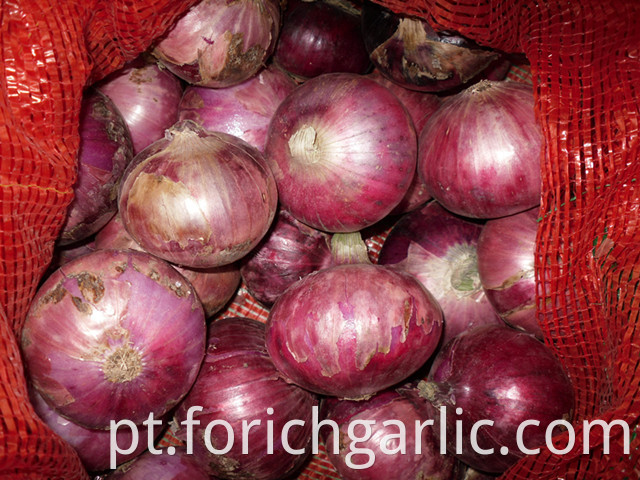 Red Onion